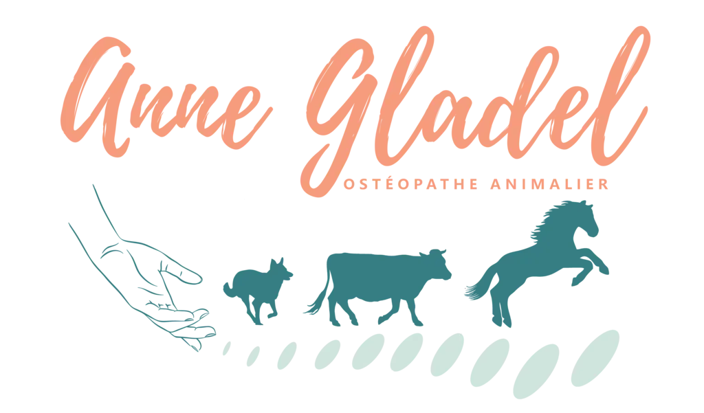 Logo d'Anne GLADER ostéopathe animalier