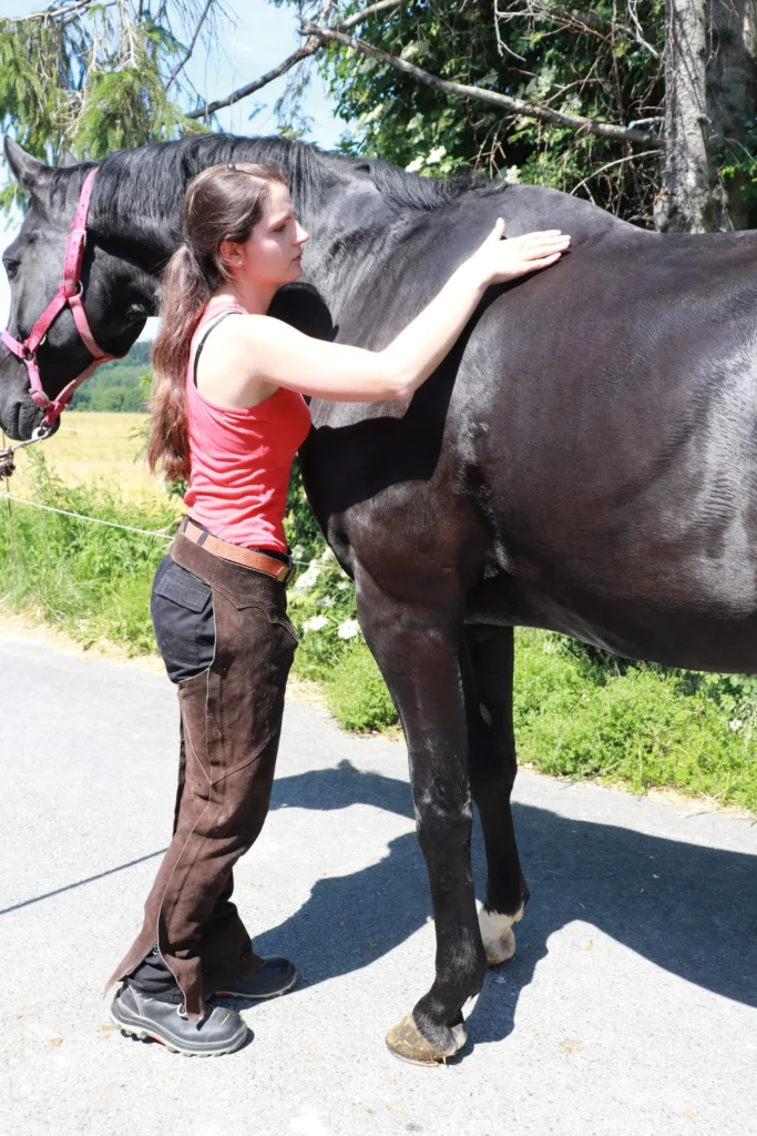 Ostéopathie cheval