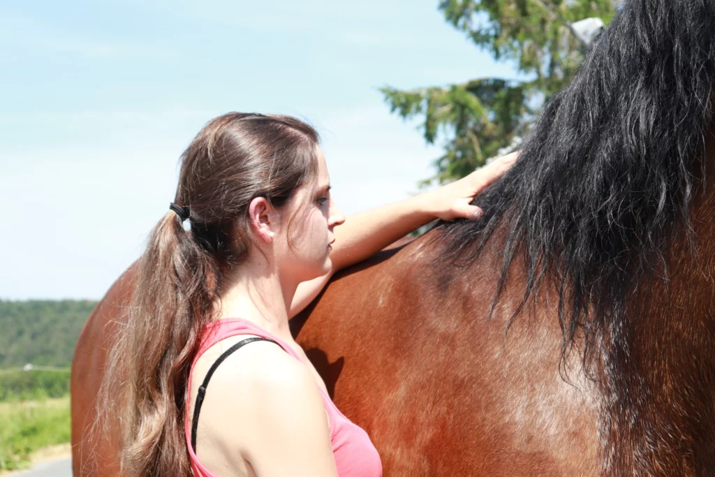 Ostéopathe pour chevaux