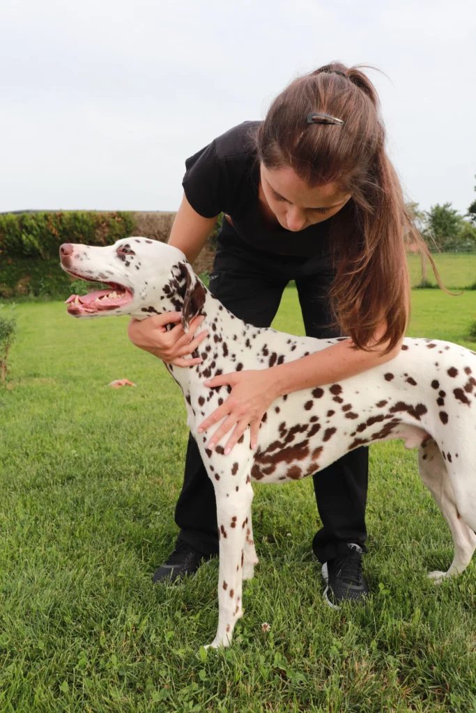 Anne Gladel : ostéopathe pour chien
