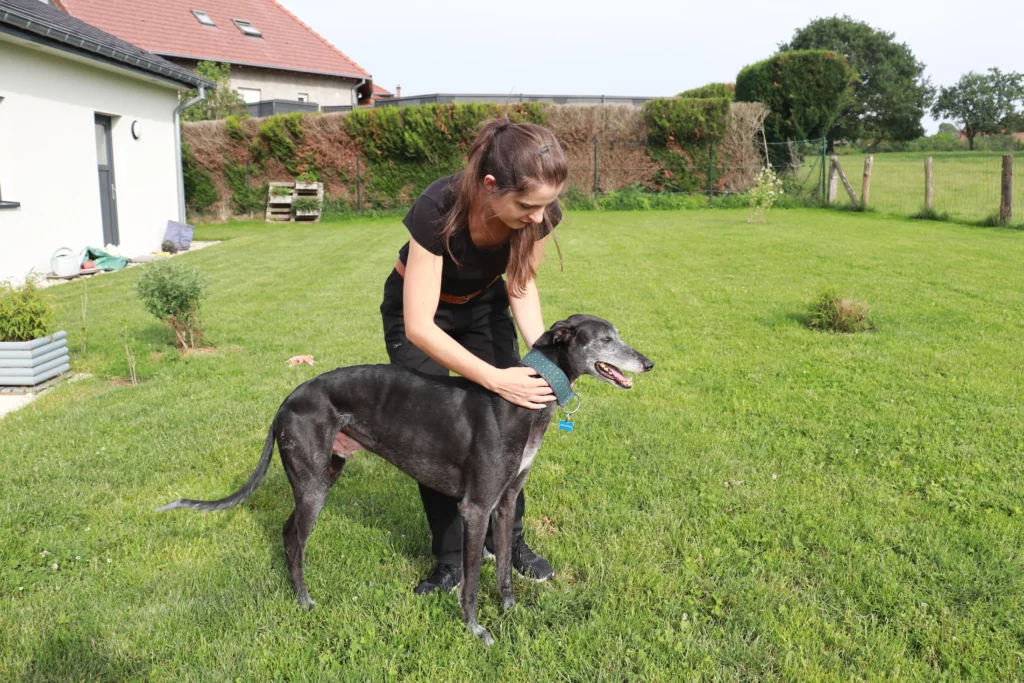 Anne Gladel : ostéopathe pour chien