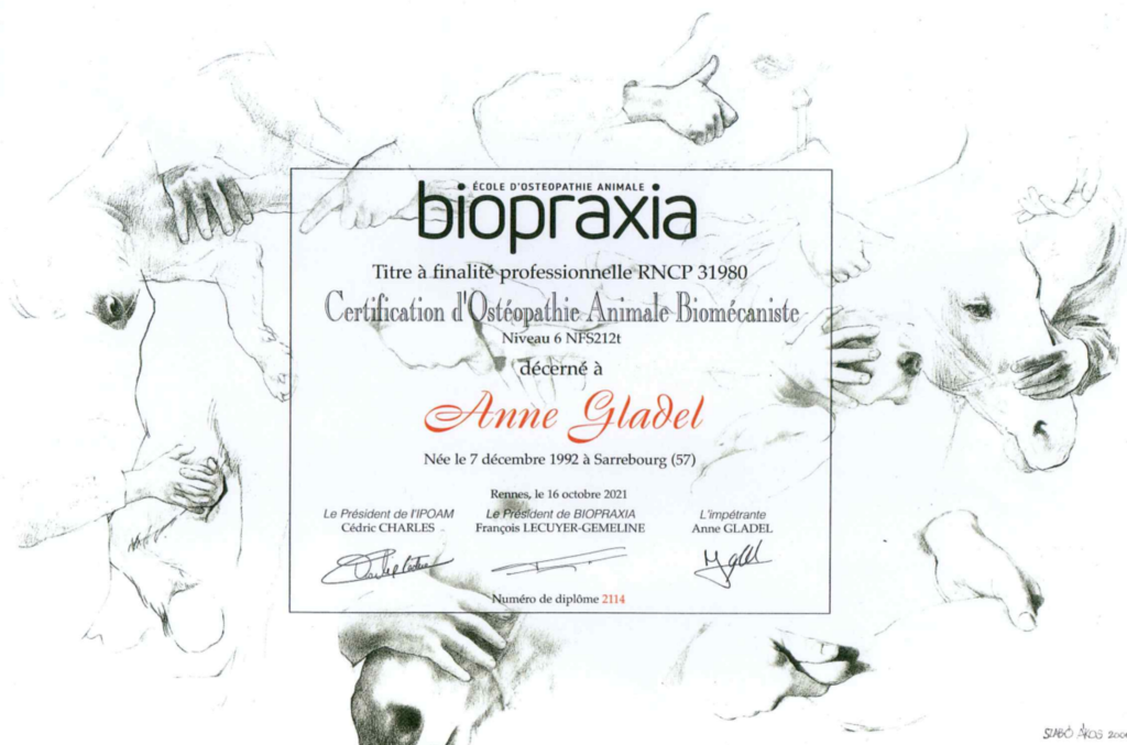 Diplome-anne-gladel-2
